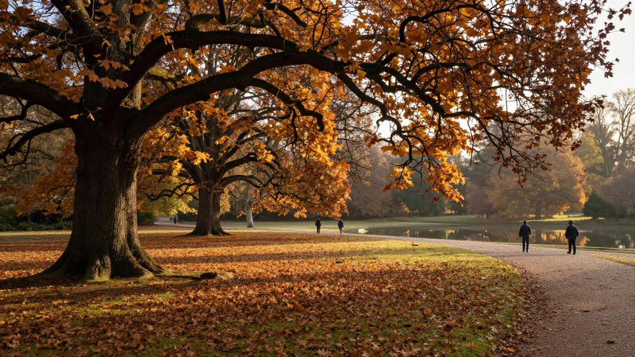 Autumn Leaf-Peeping in London Parks: When and Where to See the Best Fall Colors