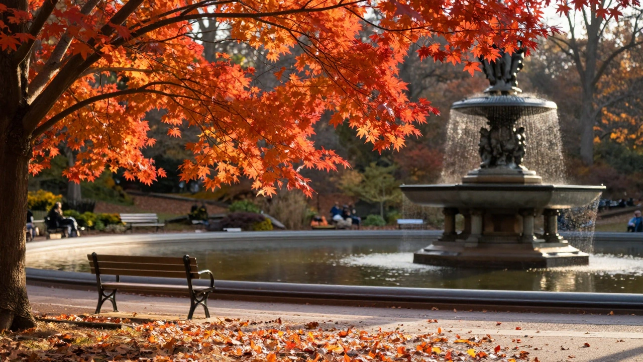 Vibrant red maples beside the Diana Memorial Fountain in Hyde Park during autumn.